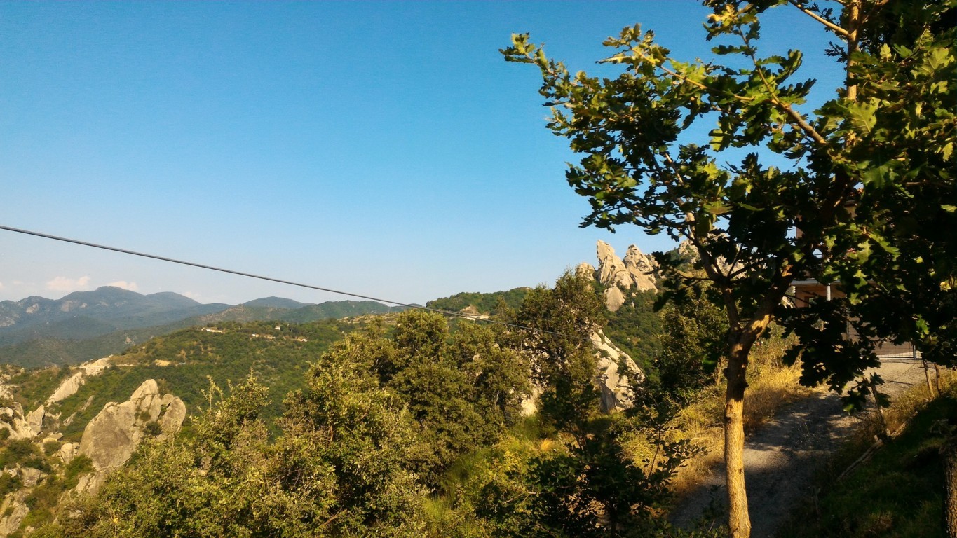 P_20160809_165730 .jpg